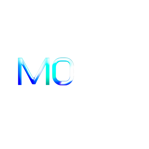 MORA infosolutions (1).png